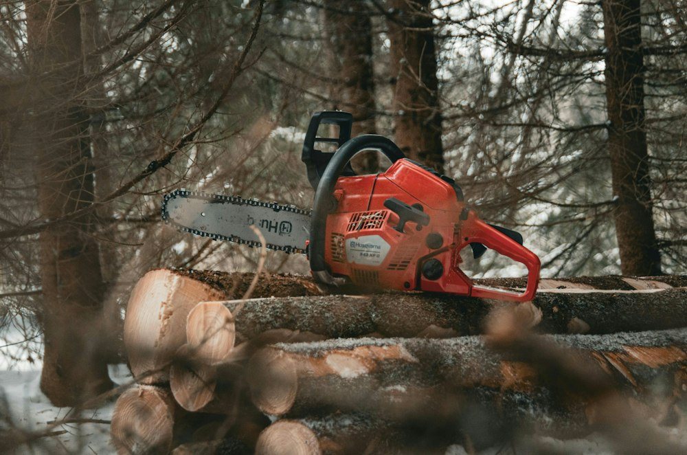 A chainsaw cutting through a tree trunk, sawdust spraying