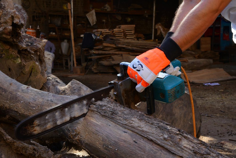 Hands gripping a chainsaw beside a felled trunk during a removal